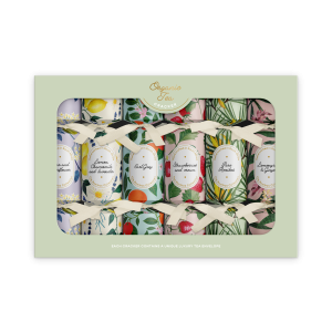 GOURMET - ORGANIC FLAVOURED TEA (6 CRACKERS)